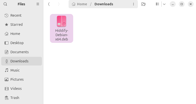 Π‘ΠΊΠ°ΡΠΈΠ²Π°Π½ΠΈΠ΅ Hiddify .deb